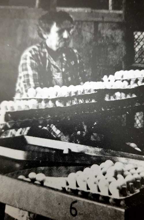 לאה בעבודתה בלול.